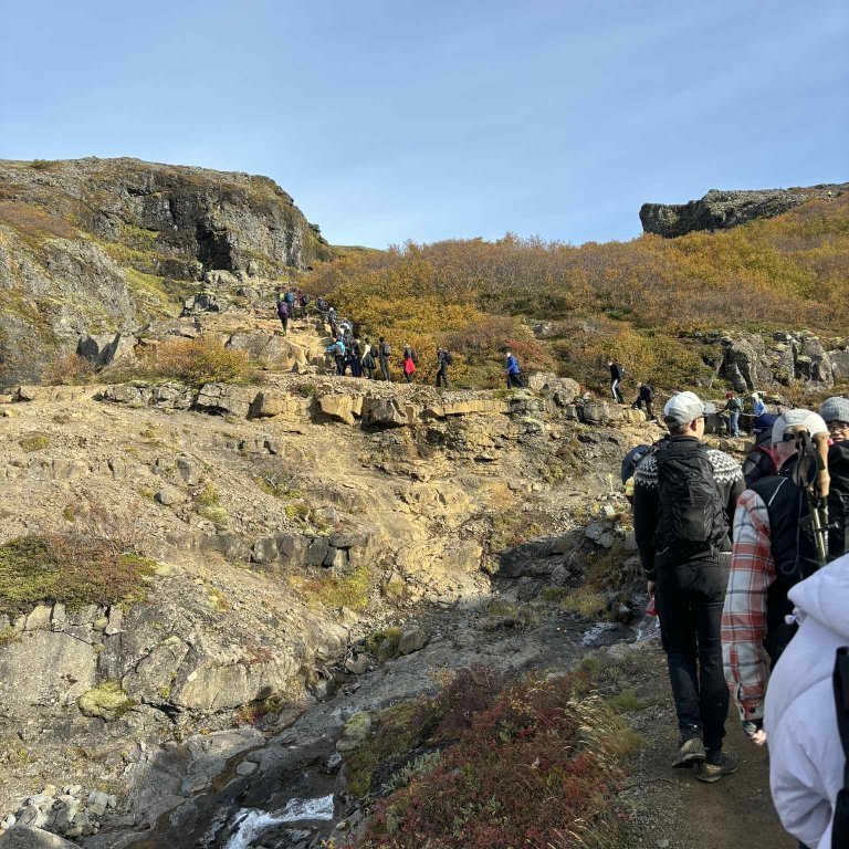 3a74680a-06c0-4cdf-9ea7-74bf4d189082