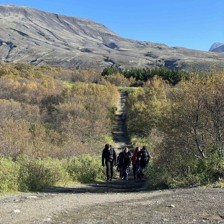 5bc8414d-4956-4700-b012-be192101817c