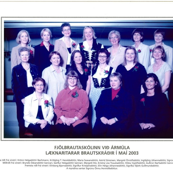 Læknaritarar vor 2003