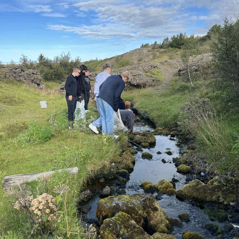 attwcq33lnlqwnz2bgar_pr1ehvo7begz8ctjsq2z-hzxy