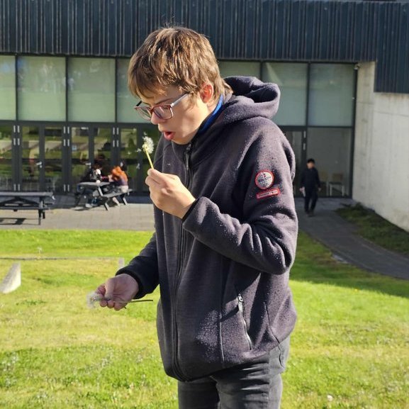 attwbpxlzantili-j1lqhaveplornhuhf3ssfaoqqtpfsa