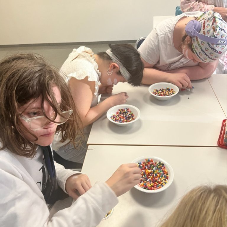 processed-d83e8398-0763-4d6b-a892-db7ae7bb1f99