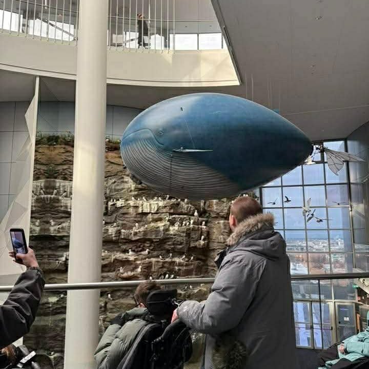 attwmacoyy8hjavs_b0scab-ubbduymigqssdzi7whoxqc