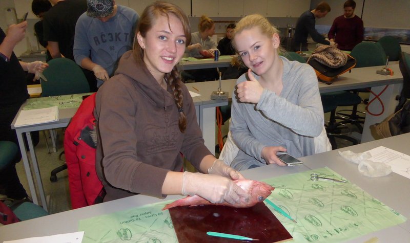 Fyrsti kennsludagur, 5. janúar