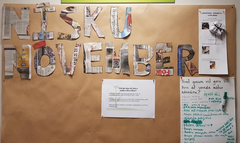 Nýtnivika Umhverfisráðs