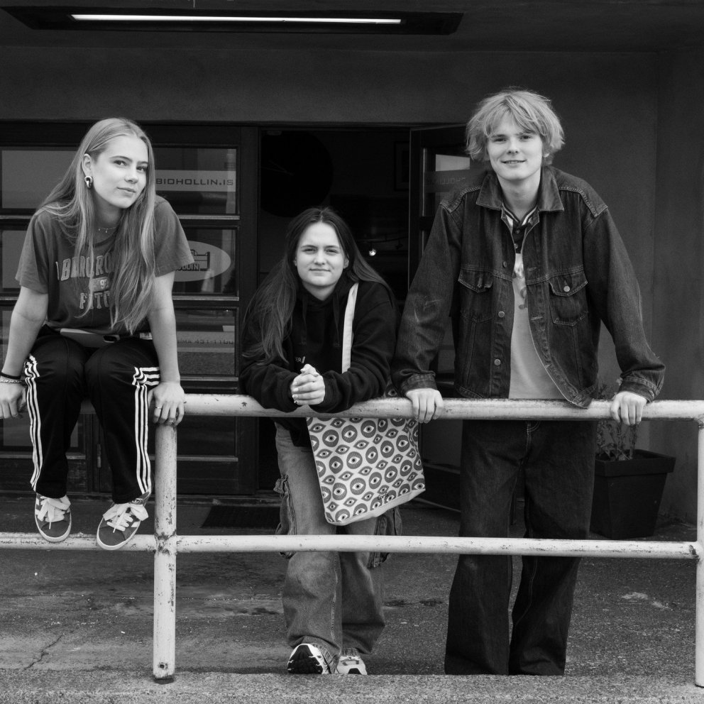 Nemi frá FÁ í ungmennadómnefnd IceDocs