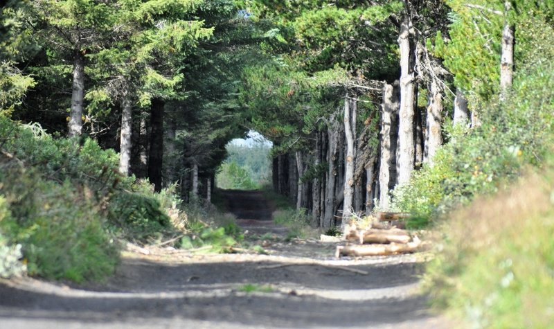Fjarnám - skráning í gangi...