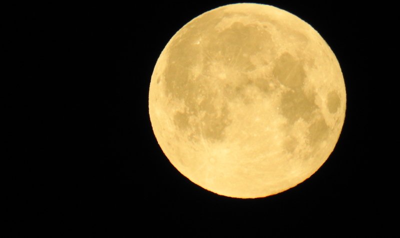 Fjarnám - skráning stendur yfir