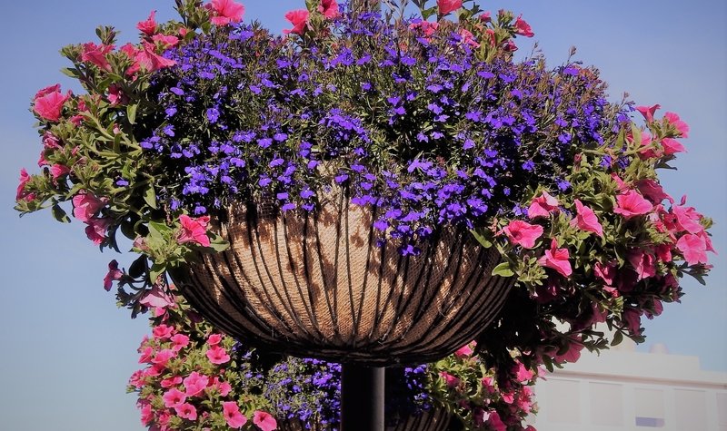 Fjórir dagar án FÁ