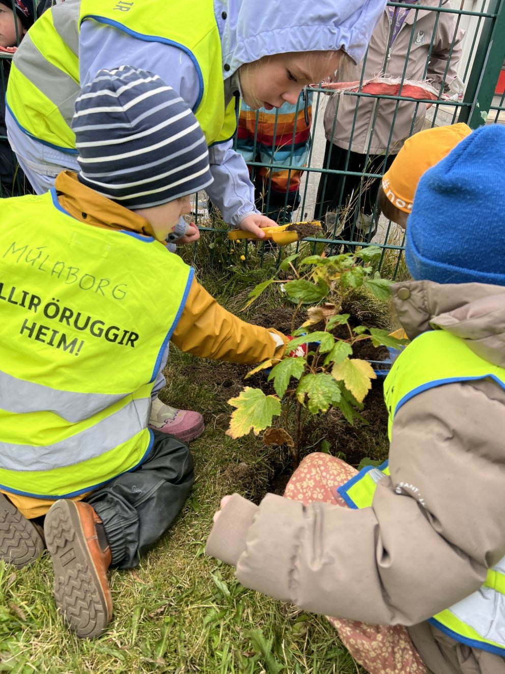 Gleðilegan Dag íslenskrar náttúru