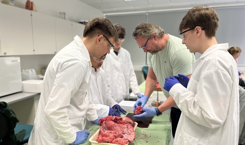 Krufning í lífeðlisfræði