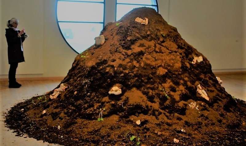 Fjallhraustir menn á ferð