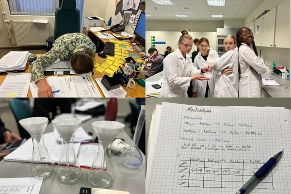 Morðgáta í efnafræði !