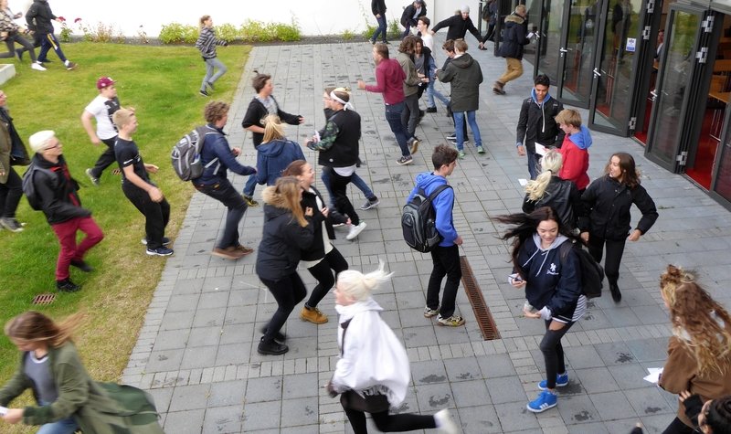 Nýnemadagur - matur alfreskó