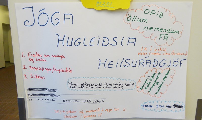 Heilsueflandi skóli