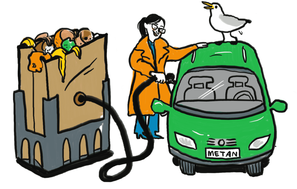 Flokkun matarleifa - frétt frá nemendum í umhverfisfræði