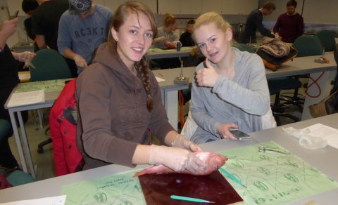 Fyrsti kennsludagur, 5. janúar