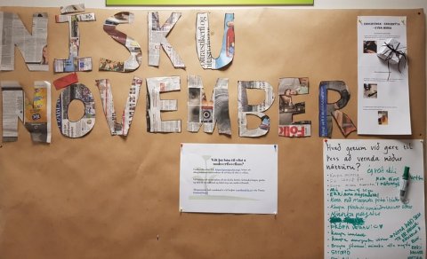 Nýtnivika Umhverfisráðs