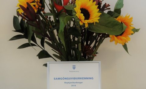 Samgöngurnar blómstra í FÁ