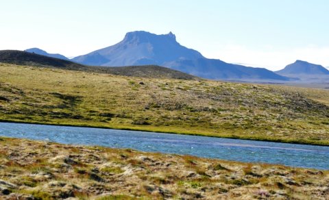 Dagur íslenskrar tungu