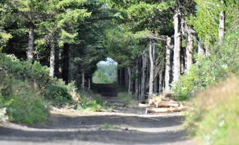 Fjarnám - skráning í gangi...