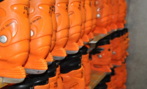 Skautahöllin í dag - 11:30! - Lífshlaupið