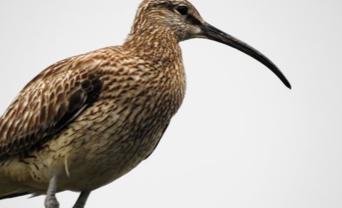 Skólinn kominn á flug