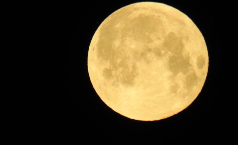 Fjarnám - skráning stendur yfir