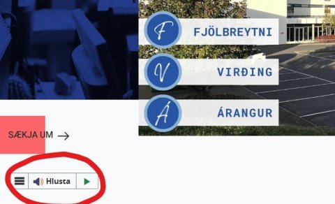 ReadSpeaker - Hlusta hnappur