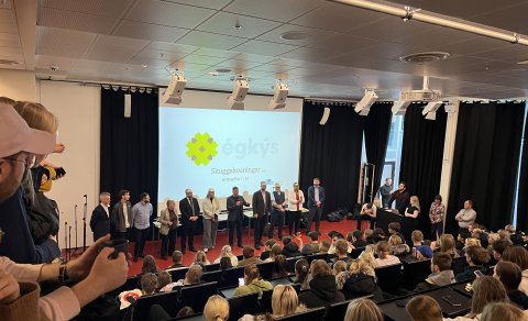 Skuggakosningar í FÁ