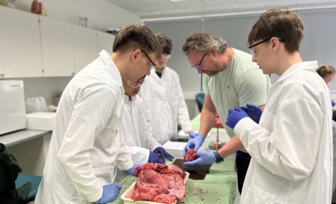 Krufning í lífeðlisfræði