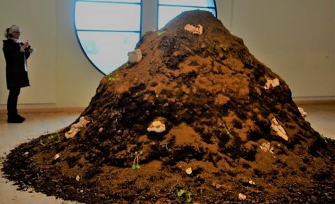 Fjallhraustir menn á ferð