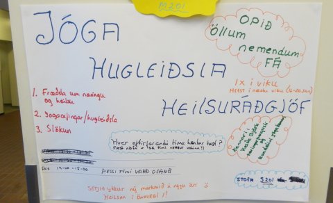 Heilsueflandi skóli